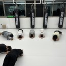 센텀강변 싸이코핏불스 이미지