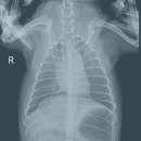 오거리동물병원 이미지