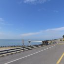 산세라 이미지