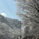 네비스토리 | [포천] 서울 근교 나들이 마이애니멀스토리 평강랜드 다녀왔어요 | 주말 방문 후기