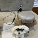 스테이오로지 이미지