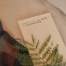 스테이변산바람꽃 이미지