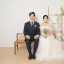 세미폭스 이미지