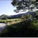 화남면 동관리~평온리 이미지