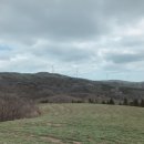 큰동산목장 이미지