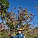 예동경로당 이미지