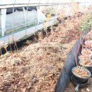 큰돌농장 이미지