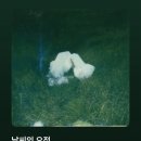 다정한 세계 이미지