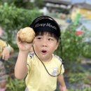 👩🏻‍🌾 꼬마 농부 감자 수확하는 날 🧑🏻‍🌾 이미지