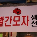 빨간모자생선 네이버블로그