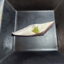 고등어다찌 | [부산/연산동] 싱싱한 고등어회로 유명한 고등어다찌 내돈내산 후기