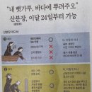 "내 뼛가루는 바다에 뿌려다오" [ 산분장(散粉葬) ] 이미지