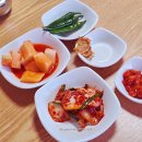 제주시공영버스 | 제주 향토음식 공항 근처 고사리 육개장 맛집 우진해장국 본관 별관 뚜벅이 웨이팅 후기