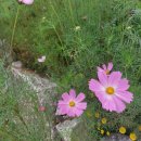 새빛공원 이미지