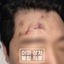 강동실비 이미지
