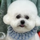 몽개구름 이미지