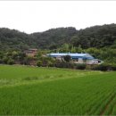 산호동313 이미지