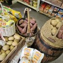 DMZ 펜션 | 세종 DMZ 근교 비발디 풀빌라 글램핑 펜션 파크오브드림