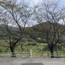 스테이화개 | 조용하고 가족끼리 가기 좋은 하동 숙소 추천 | 스테이 화개 후기