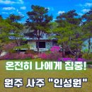 조엄로 | 원주 사주 인성원에서 가족 운세와 사주 풀이 방문 후기