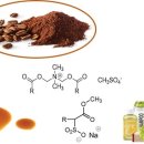 비제이팜 이미지