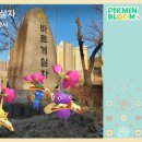 글라스샵안경콘택트 이미지