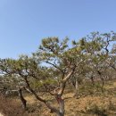 성주농원 이미지