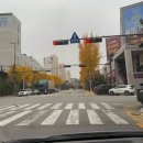 염광당약국 | [접촉성피부염]만성 피부질환 ,화장품알러지 염광피부과 후기