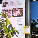 하나광고 - 김해시 분성로48번길 8 | 하나광고