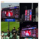 엑셀위즈 | KT위즈와 함께한 2025년 결산 ft. 아무튼 직관 승률 반타작은 했음