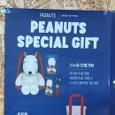 베베드피노경주점