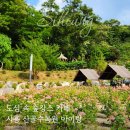 도심 속 숲캉스, 시흥 물왕호수 산골수목원 카페 아이랑 방문 후기