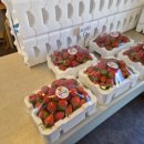 이성농장 이미지