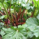 대황약국 이미지