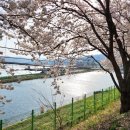 하방천변길 이미지