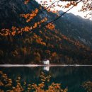 몸사랑한의원 이미지