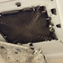 (주)대전성모약품 | 대전 세종 이사청소 입주청소 34평 비용 업체 후기, 업체 선정하는 방법! 추천? 비추천?