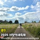 영산강서창들녘억새길 | 2025 광주 서창억새축제 주차 기본정보 행사일정