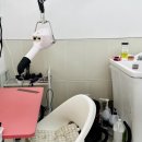 쫑랑쫑랑 이미지