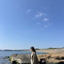 남원읍-112 | 제주도 3월 3박4일 여행코스 | 2일차 🌼 (산방산 유채꽃 + 서귀포 자연 코스)