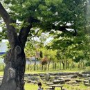 한반도 태권도장 이미지