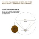 어반옵티크(URBAN OPTIQUE) 이미지