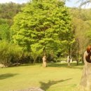 금광전기 이미지