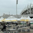 빵빵 | 2025 빵빵데이 천안 방문후기 ft. 천안옛날호두과자 본점 앙버터 호두과자