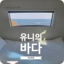 [내 돈 내산] 유니의 바다 구룡포점 솔직 후기