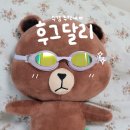 후그 달리 사용 후기 눈자국 안나는 수경 추천 내돈내산