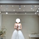 도비컴퍼니 - 57210 | 클라우디아 청담 지정 촬영 드레스 촬영가봉 후기