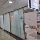 일루쏘뷰티