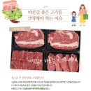 주식회사 그린푸드 네이버블로그