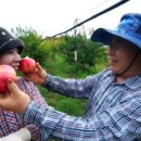 세련농장 이미지